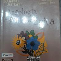 libro il tuo sguardo domani mito ed epica