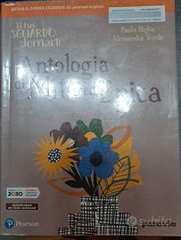 libro il tuo sguardo domani mito ed epica