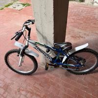 Bicicletta Torpado Modello Puma Bambino