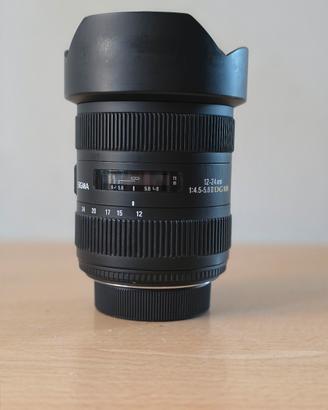 sigma 12-24 