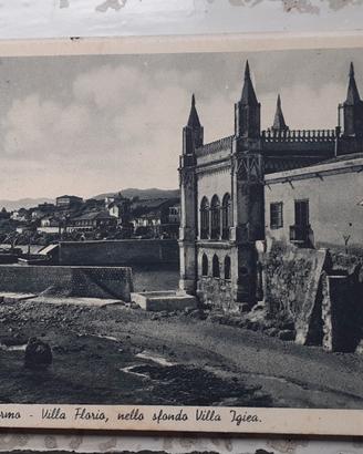 cartoline 