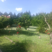 Casa in pietra campagna
