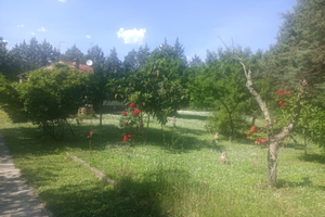 Casa in pietra campagna