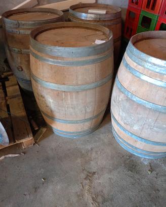botti Barrique 