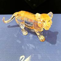 Swarovski Edizione Annuale 2010 TIGROTTO