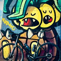 Scott addict rc