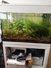 acquario Askoll Pure Led misura L