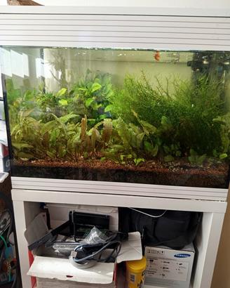 acquario Askoll Pure Led misura L