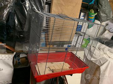 Voliera per pappagalli