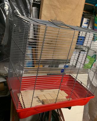 Voliera per pappagalli