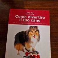 Come divertire il tuo cane