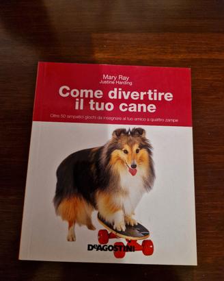 Come divertire il tuo cane