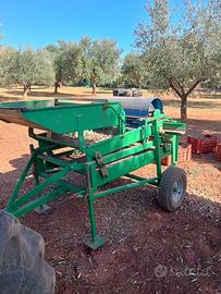 Cernitrice per olive