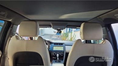 Jaguar e pace con distribuzione nuova