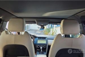 Jaguar e pace con distribuzione nuova
