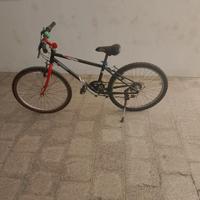 Mountain bike tosta e instancabile 