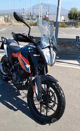 Cupolino alto ktm