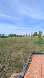 Lavori pulizia terre