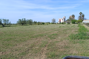 Lavori pulizia terre