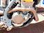 Immagine 5
