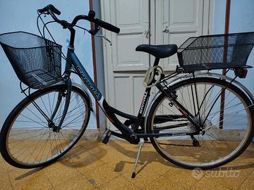 bicicletta