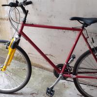 Mtb uomo ruota 26