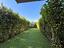 Immagine 16