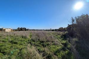 Terreno Agricolo - Siracusa