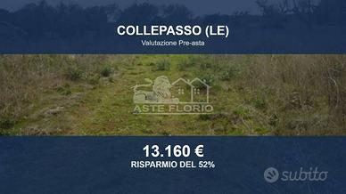 Immobile in asta di 26550 m² a Collepasso