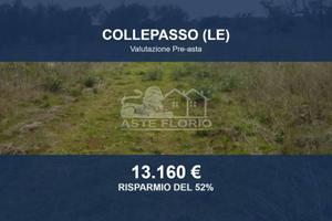 Immobile in asta di 26550 m² a Collepasso