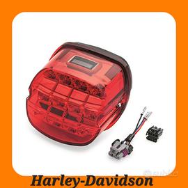 FANALE A LED H-D Layback