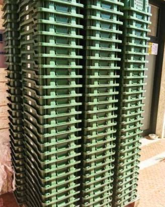 Cassette da olive in multipli di 10