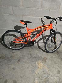 Mountain bike Hogan  FS26 FS