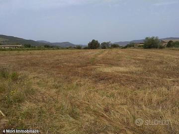 Terreno Loc. Is Pinnas mq. 1900