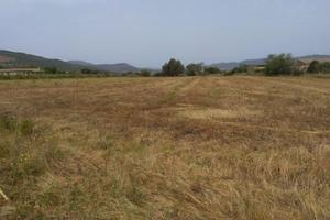 Terreno Loc. Is Pinnas mq. 1900