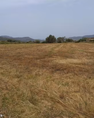 Terreno Loc. Is Pinnas mq. 1900