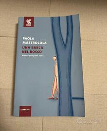 Libro “Una barca nel bosco”