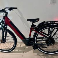 E-bike Olympia Super Roadster