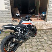 Duke 390 2022