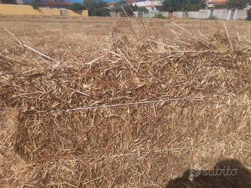 foraggio con trasporto 