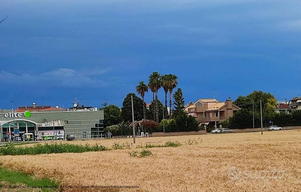Immobile in asta di 30382 m² a San Benedetto del T - Vista 3