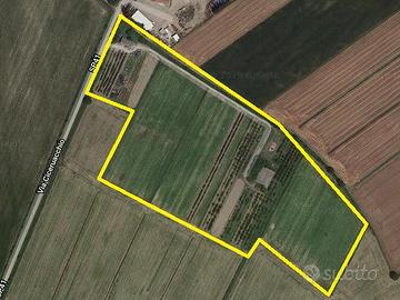 Terreno Agricolo con edifici magazzini