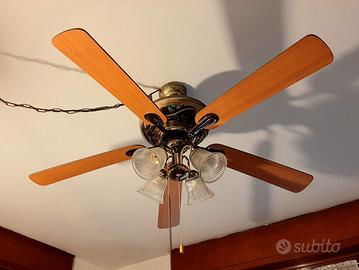 Ventilatore/lampadario da soffitto