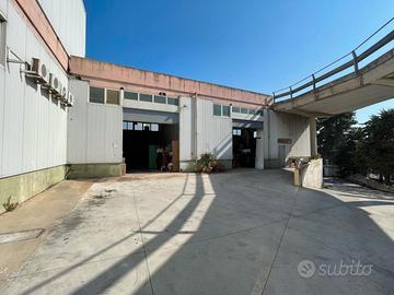 Capannone Predda Niedda