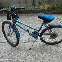 BICICLETTA MOUNTAIN BIKE
