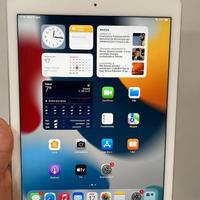 Apple iPad Air 2 silver 64 GB - 5631