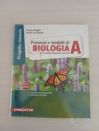 Processi e modelli di Biologia A, progetto Genesis
