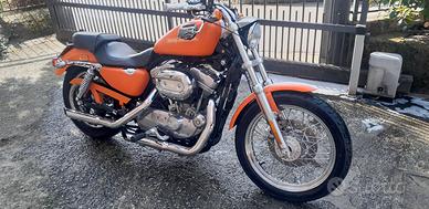 Harley Davidson 883 low