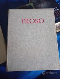 Troso pittori contemporanei 1955