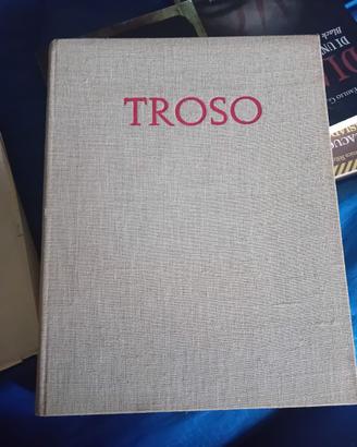 Troso pittori contemporanei 1955